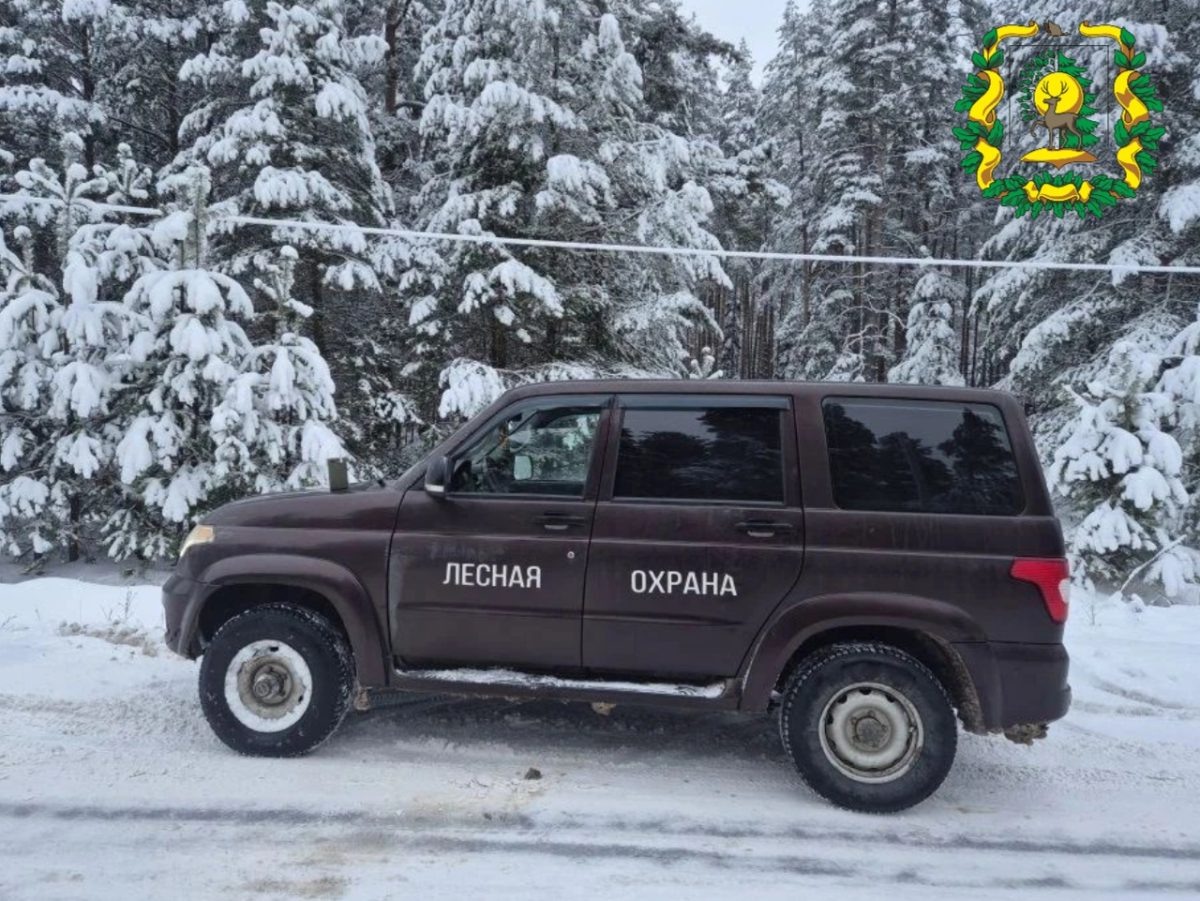    Мужчину оштрафовали на три тысячи рублей