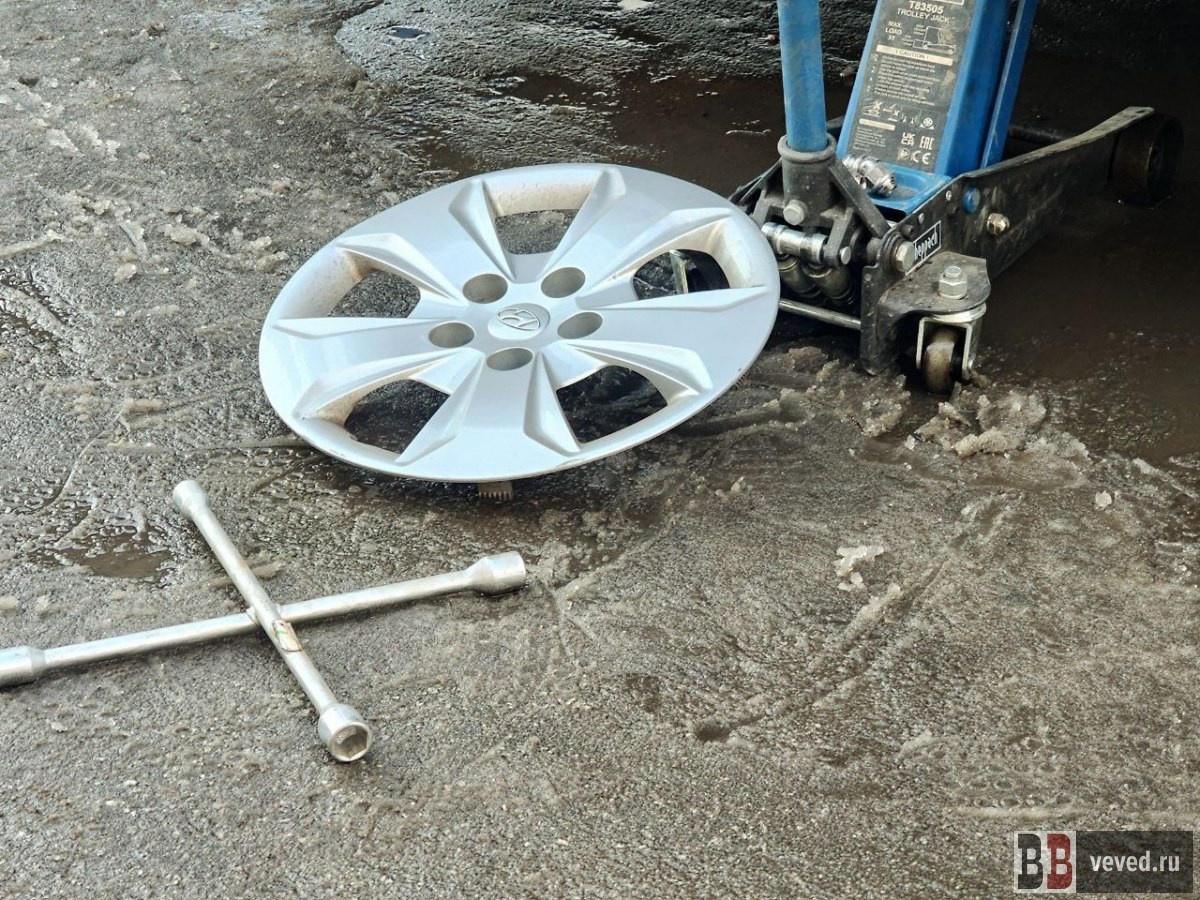     Фото: Гузель Аиткулова / Вечерние ведомости