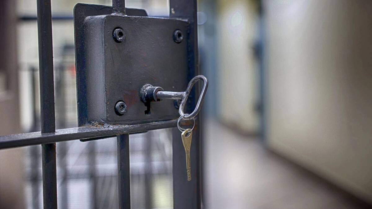    Фото: FotoDax/Shutterstock/Fotodom