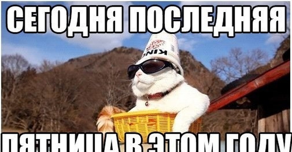 Яндекс картинки