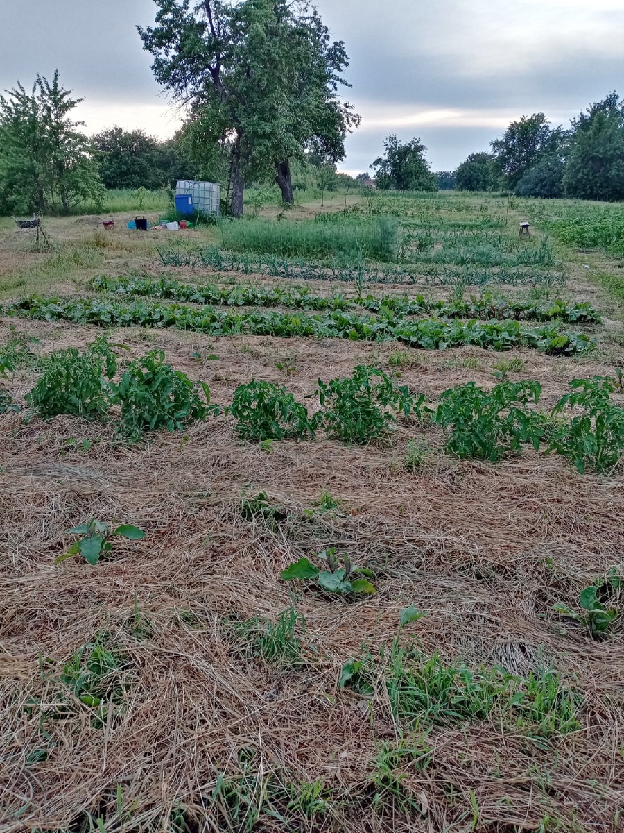 Фото из архива. Начало сезона 2021 года. Здесь видно только половина территории.