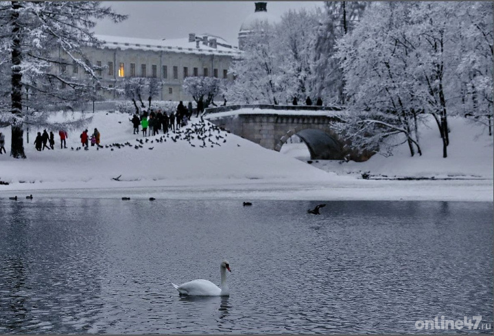 фото: Валентин Илюшин/ Online47