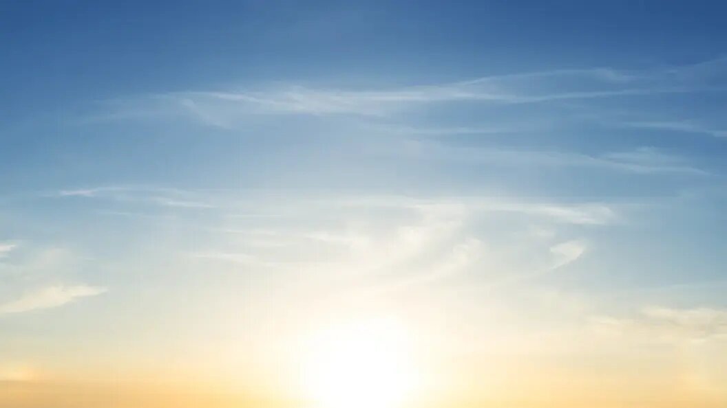    Фото: shutterstock