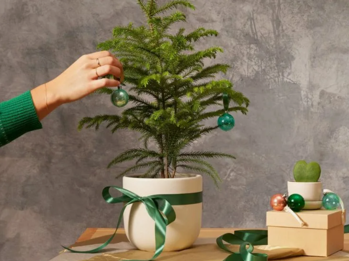 Источник фото: pinterest.com