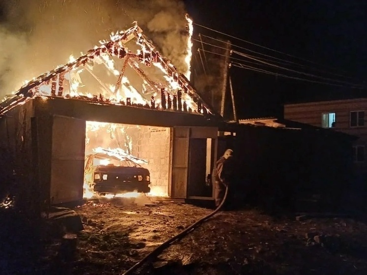     Фото: Противопожарная служба Курской области