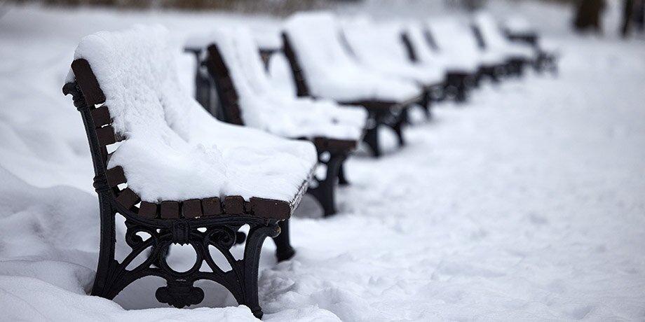    Фото: портал мэра и правительства Москвы/Максим Денисов