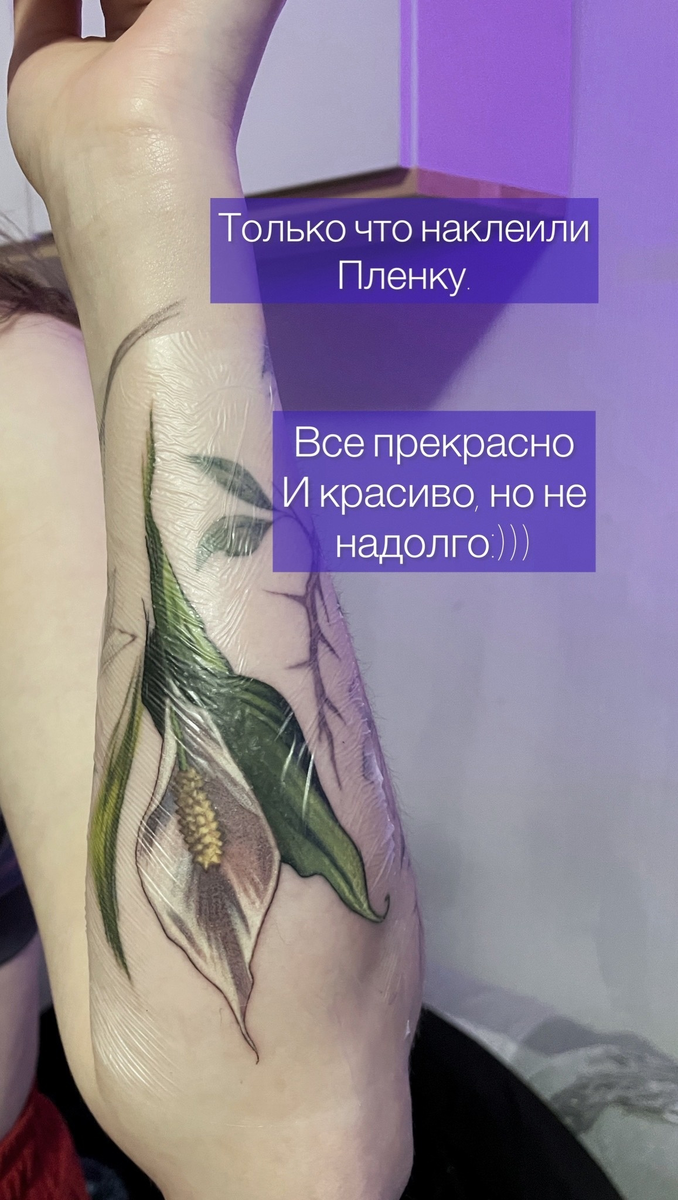 Фото взяты из простора интернета. 