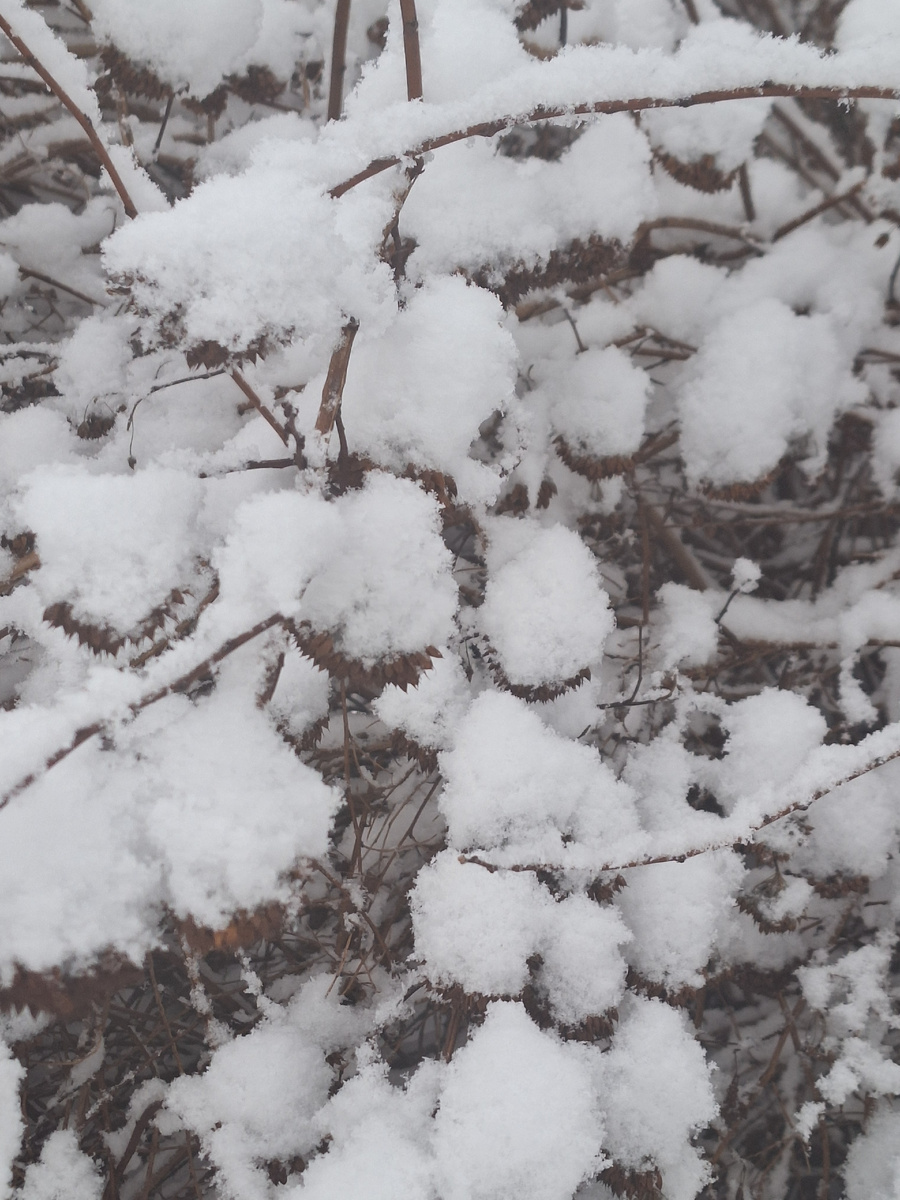 Шапочки из белого пуха. Фото - собственность автора канала "ТАК НАДО".