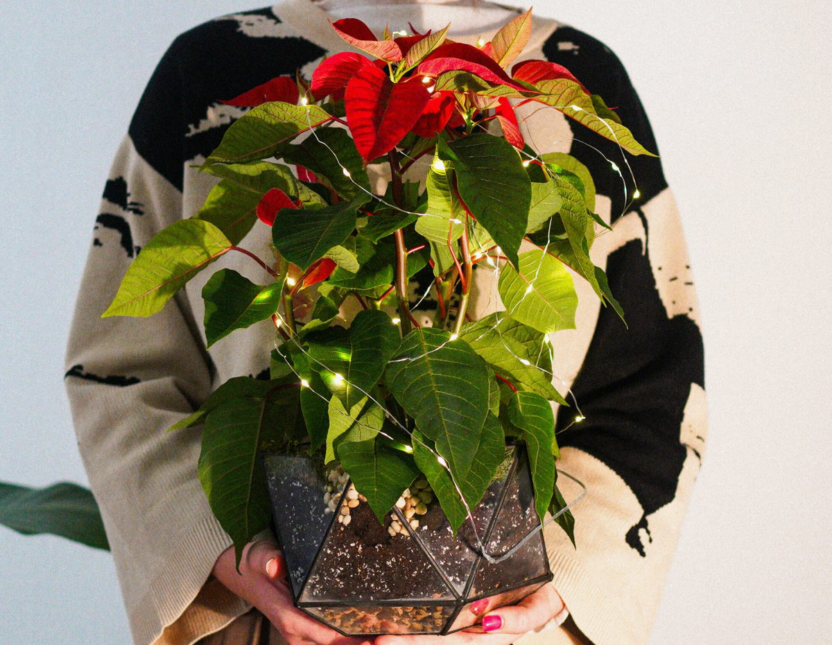 Источник фото: market.yandex.ru