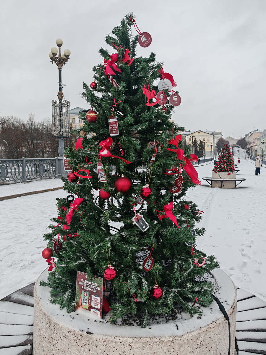 Фото автора канала 