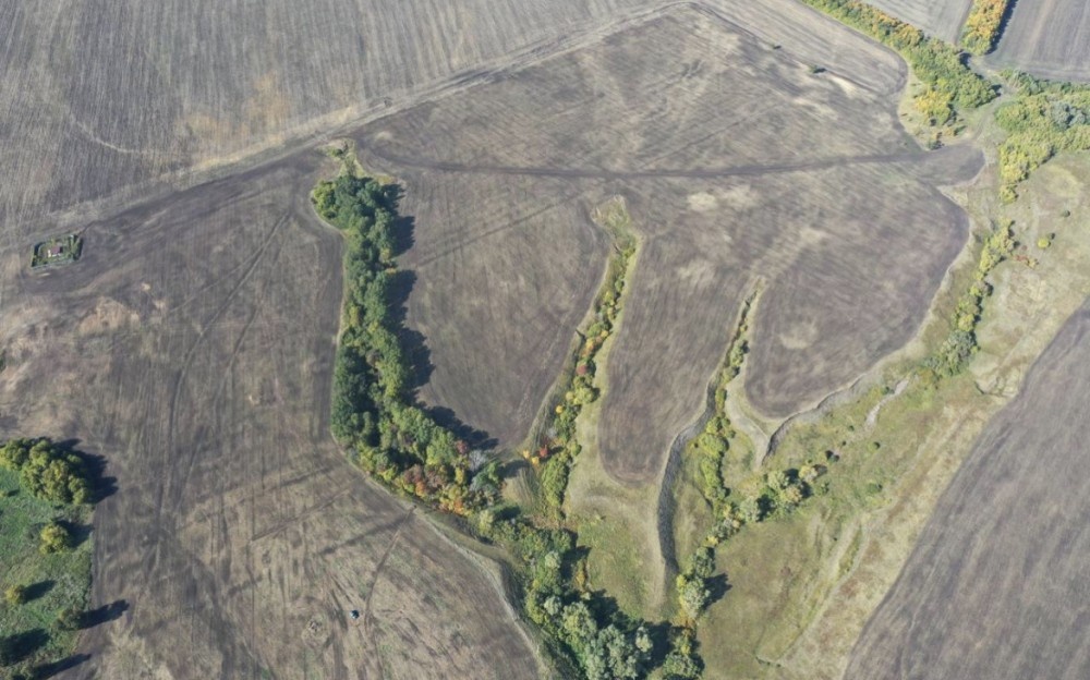    Вынесен приговор по делу о ООПТ "Надеждинская лесостепь" в Самарской области