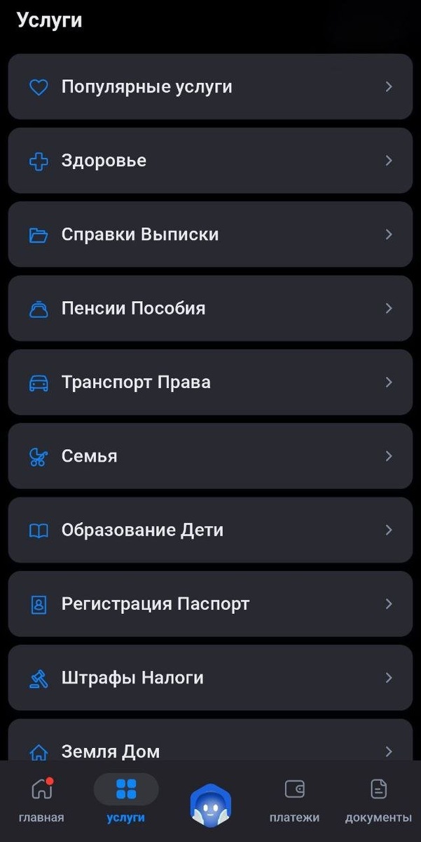   Здесь и далее — приложение «Госуслуг», фото: скриншот Frank Media