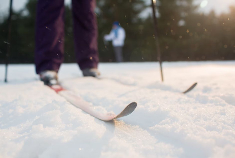    Фото: ru.freepik.com