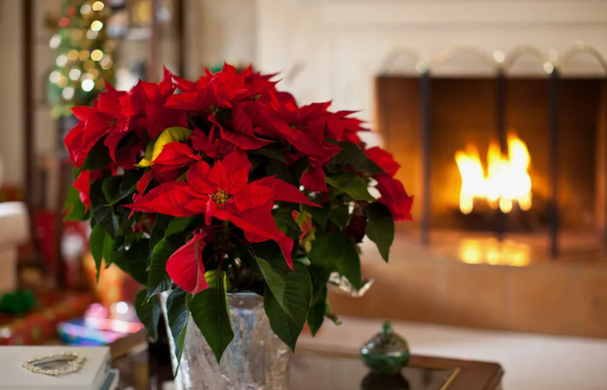 Источник фото: okno.agency