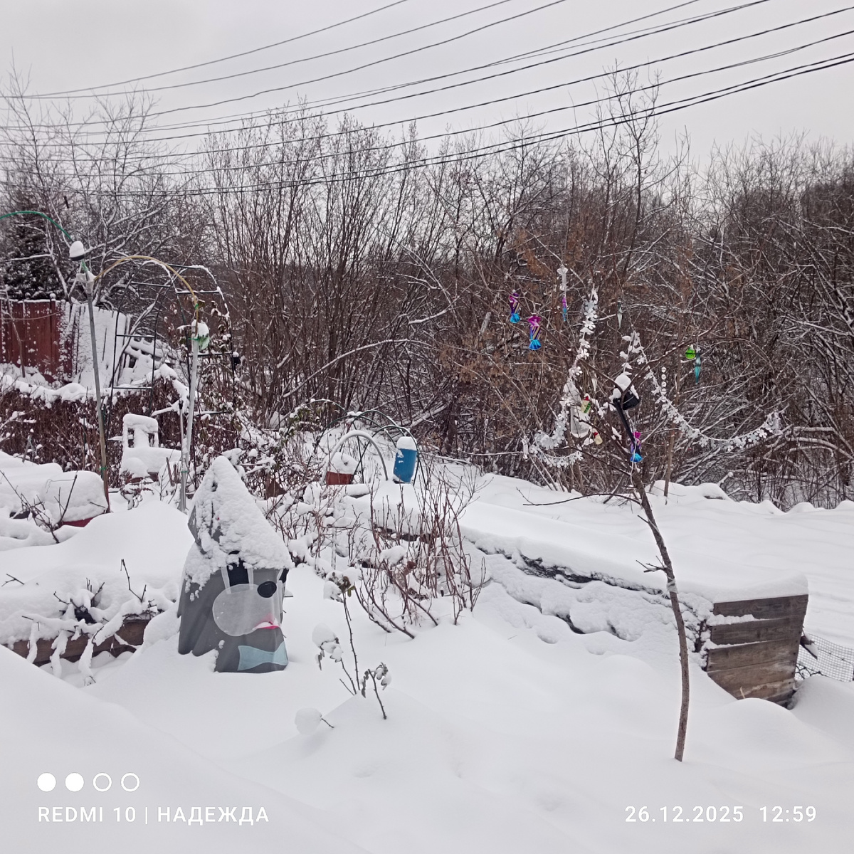 Вишня, на ней ещё гирлянда есть. Но солнца нет и она пока не горит. 