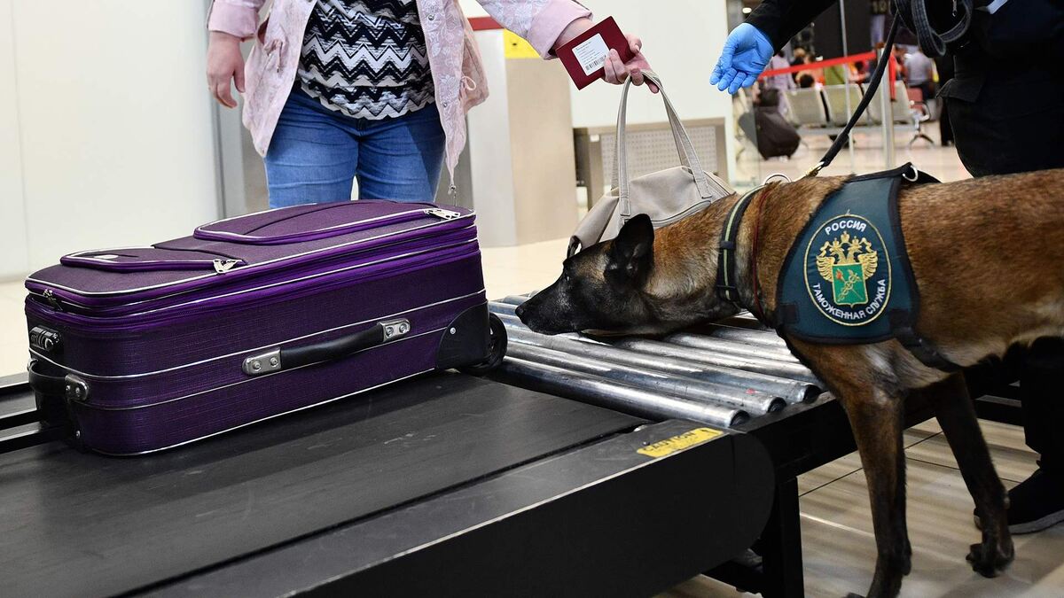 Фото: РИА Новости/Павел Лисицын