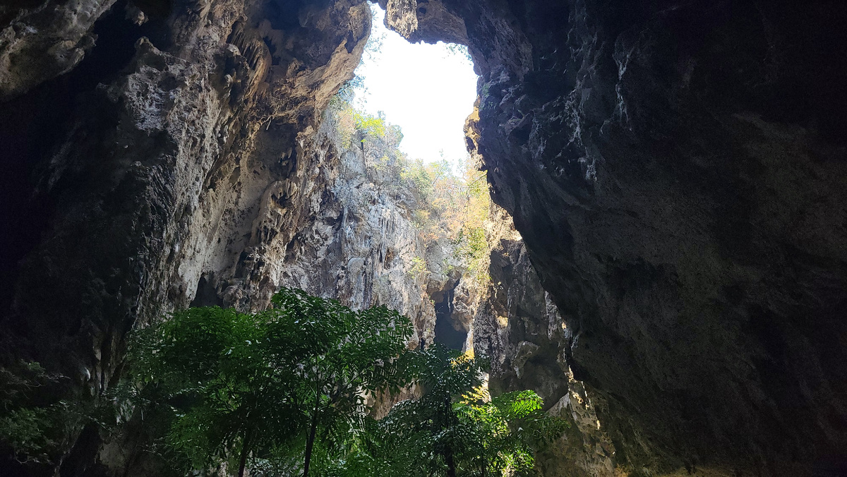 В первом зале пещеры даже деревья растут