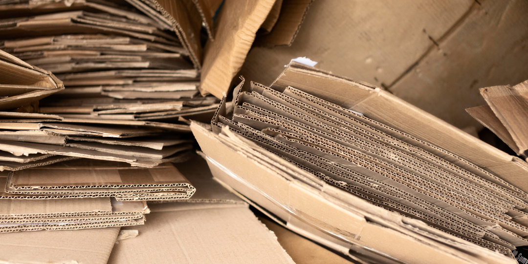 Спасем деревья вместе: как правильно сдавать макулатуру?