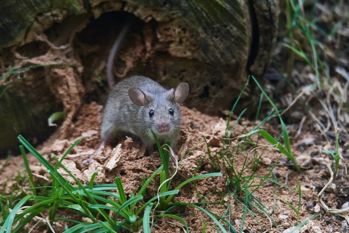    Фото: пресс-служба Россельхозцентра