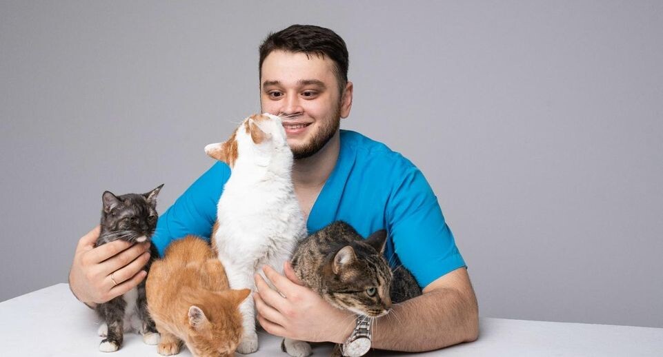 Рука не поднялась. Как московский ветеринар втайне спасал обреченных на эвтаназию питомцев