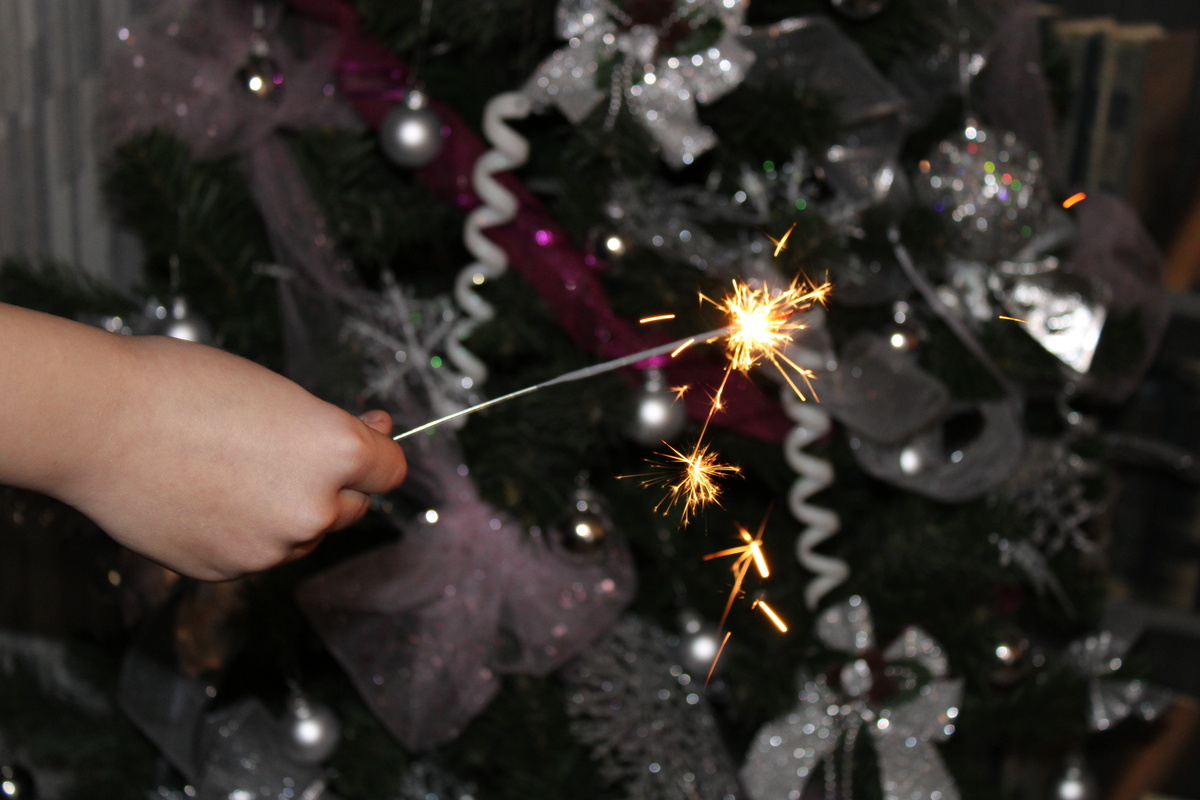 Фото: ИА "Регион 71"