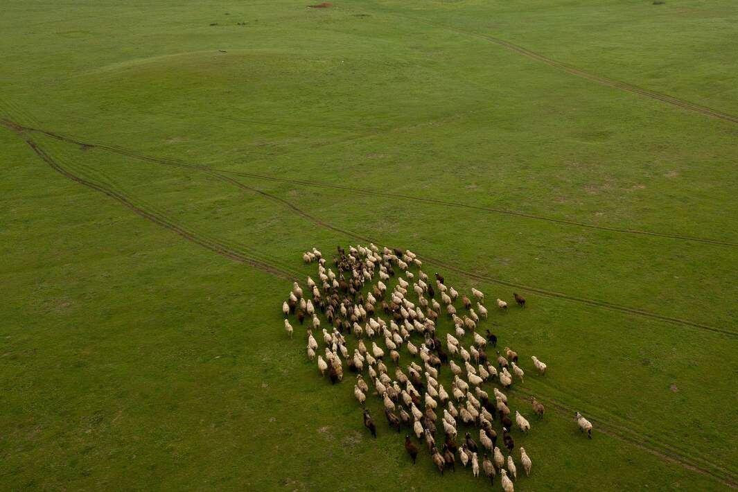 Фото: РИА Новости/Григорий Сысоев