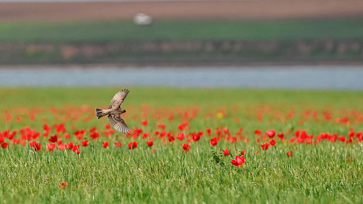 Фото: РИА Новости/Григорий Сысоев
