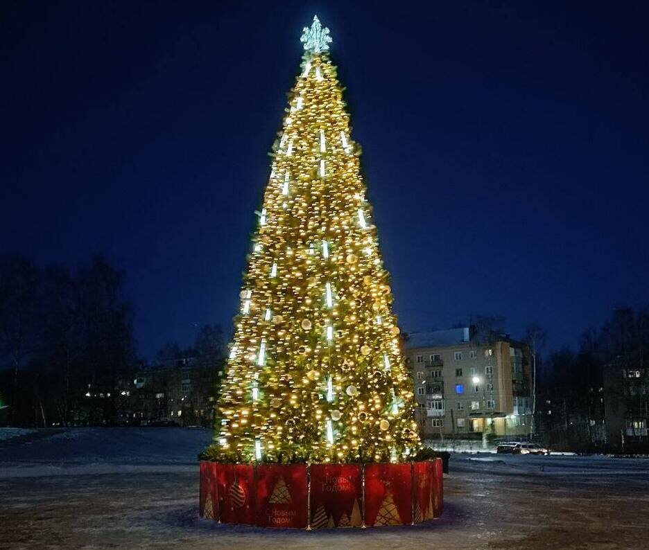    Фото: grad.kostroma.gov.ru