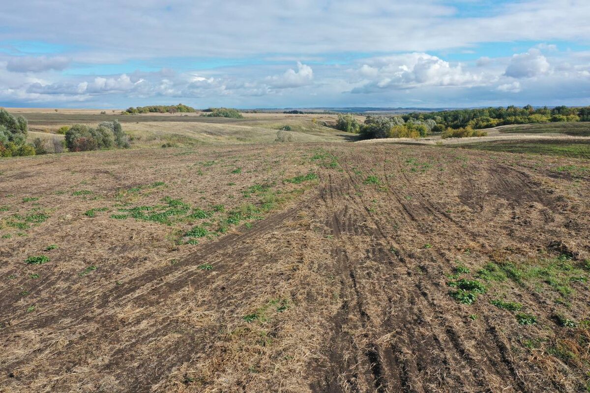    Фото Минприроды Самарской области