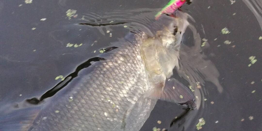 А так ли важен цвет?