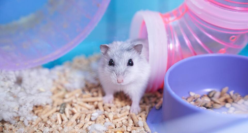    istockphoto.com/Darya Komarova