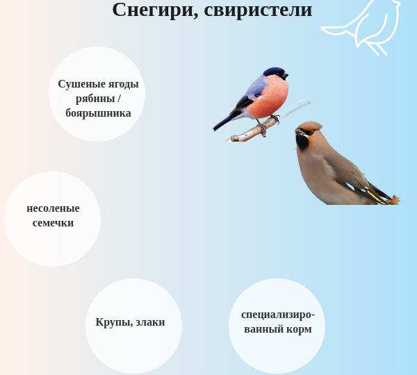 Чем подкармливать птиц зимой?