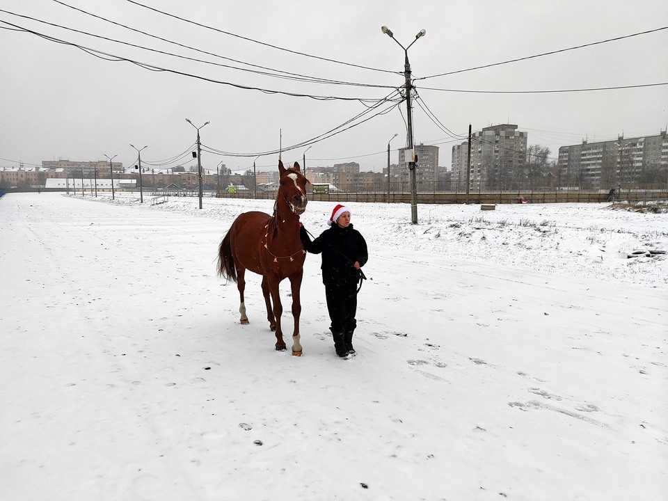    Маджестик на тверском ипподроме с берейтером Тамарой. Александр ЖМУЛИН