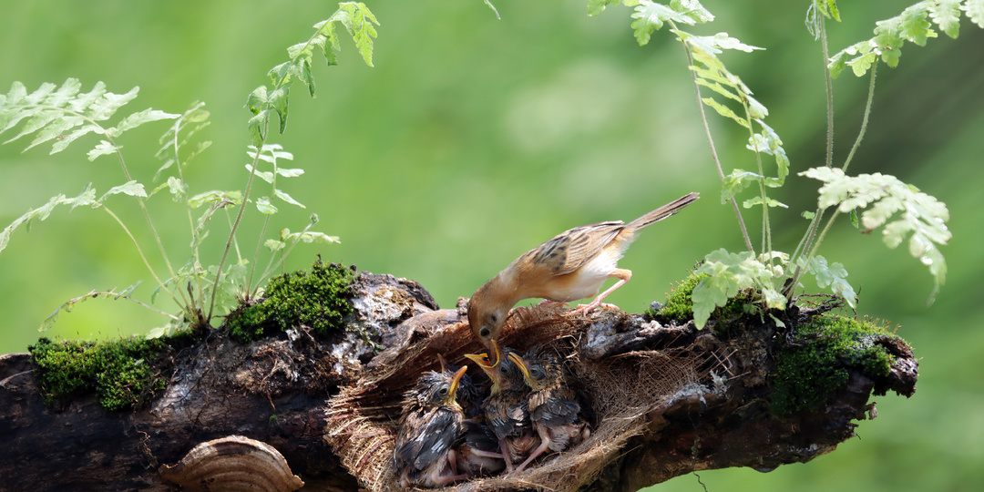 Корякскому заповеднику — 30 лет!