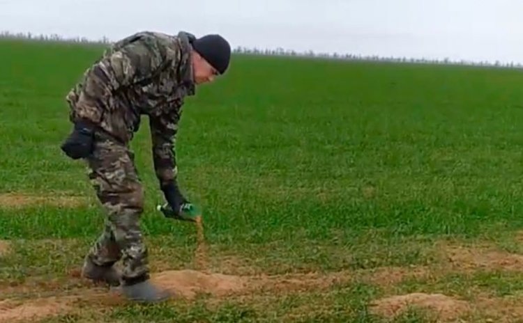    Фото: ФГБУ «Россельхозцентр» по Ставропольскому краю