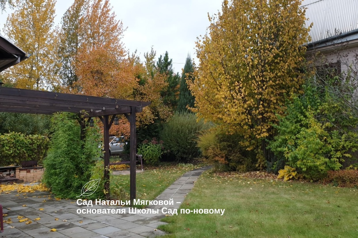 Листайте галерею по стрелке вправо 