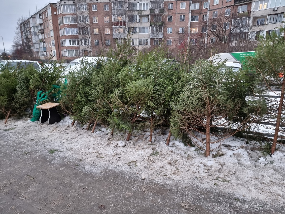    Ириан Яковлева