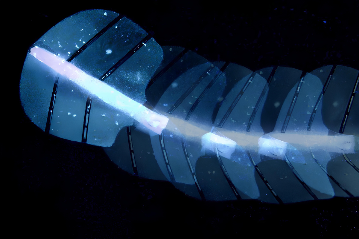 Фото: ETH Zurich