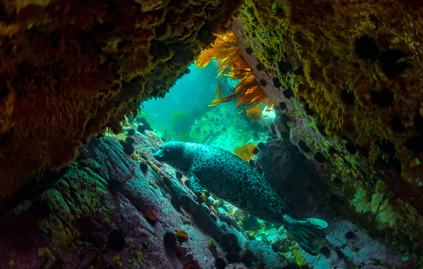 Юрий Смитюк/ТАСС