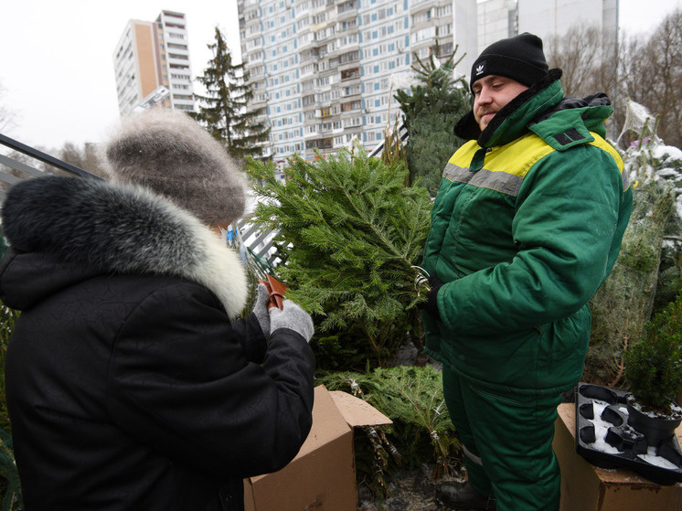     Фото: медиасток.рф