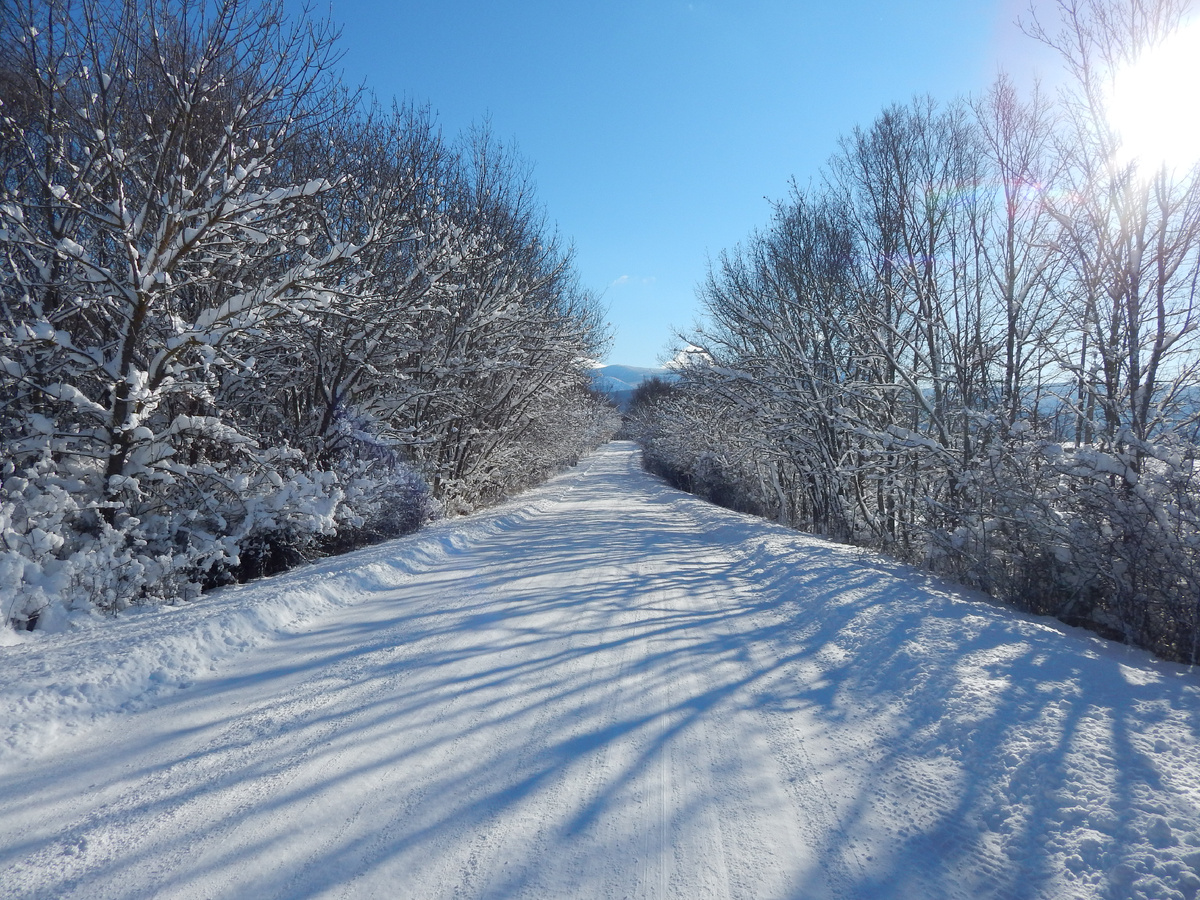 Дорога домой 2022г.