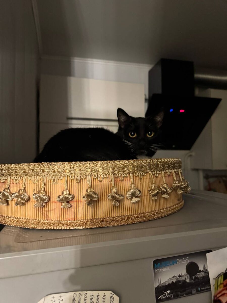 Ой, знаю я, знаю, что загадать!!