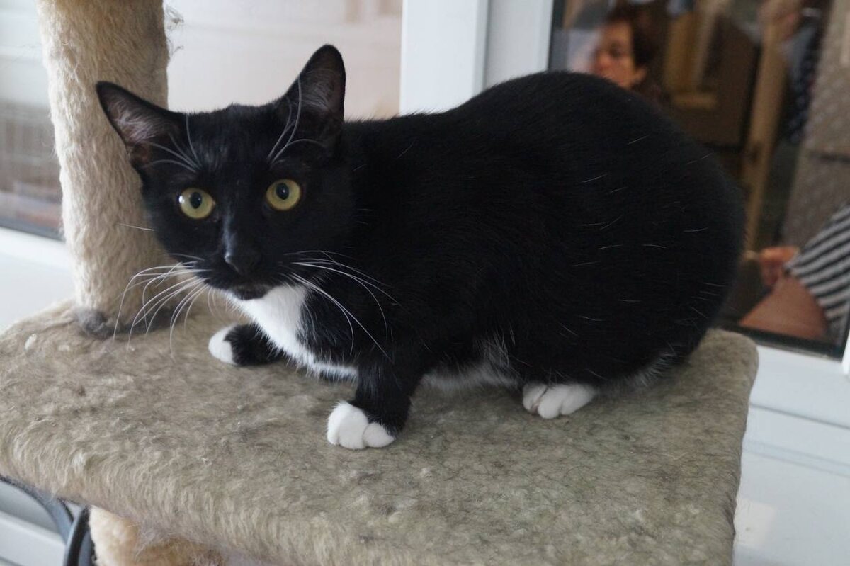 Новый год? Уже??