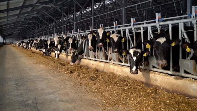    Фото: Правительство Республики Башкортостан