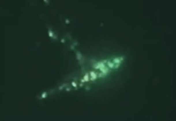 У «3I/ATLAS» появился конкурент, очередной «корабль пришельцев» летит к Земле