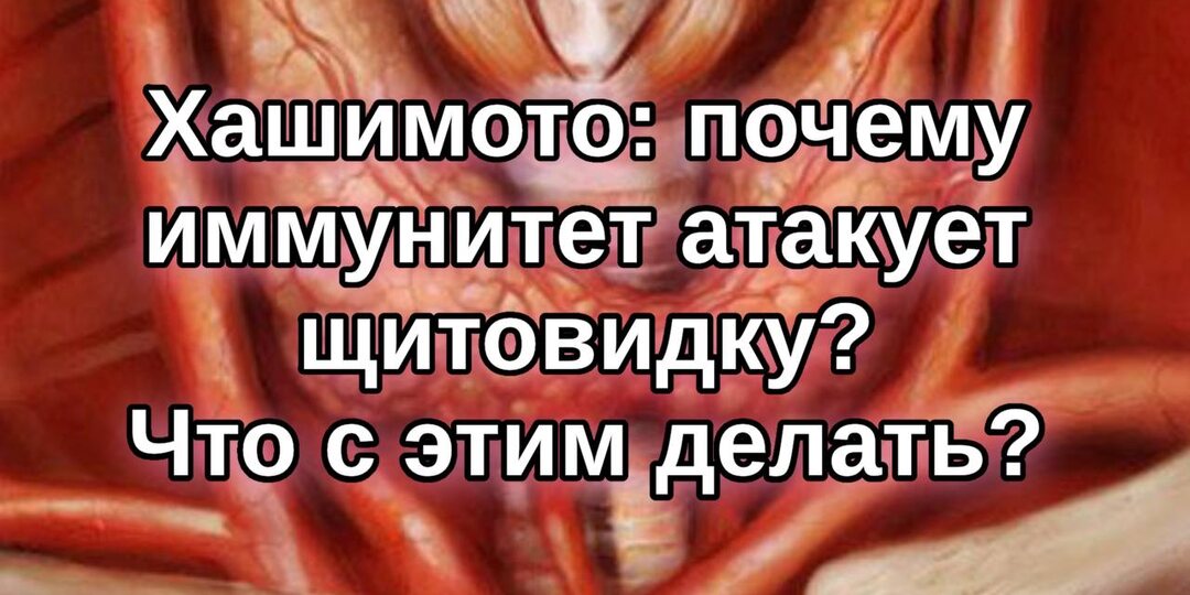 Хашимото: почему иммунитет атакует щитовидку? Что с этим делать?