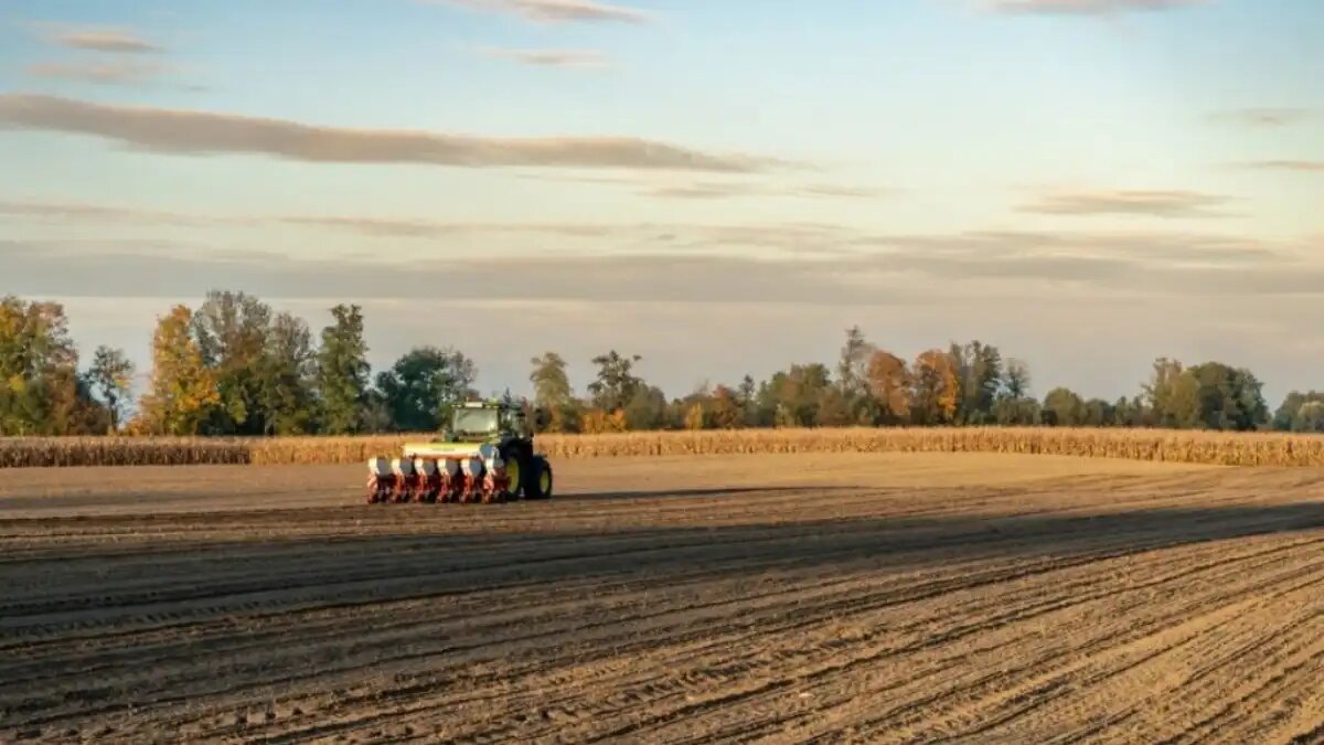 Фото: © Pöttinger
Новая сеялка Pöttinger PURO H 3000 подходит для посева кукурузы, подсолнечника и сорго