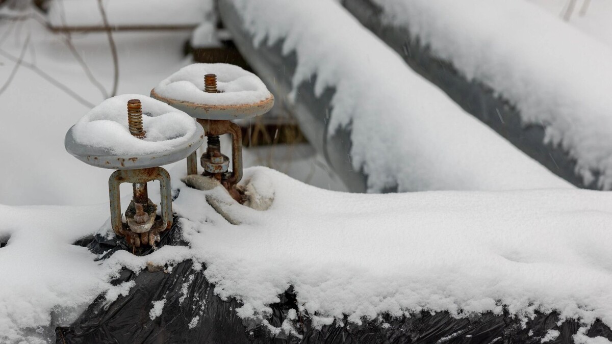    Фото: Александр Чирва/«Ямал-Медиа»