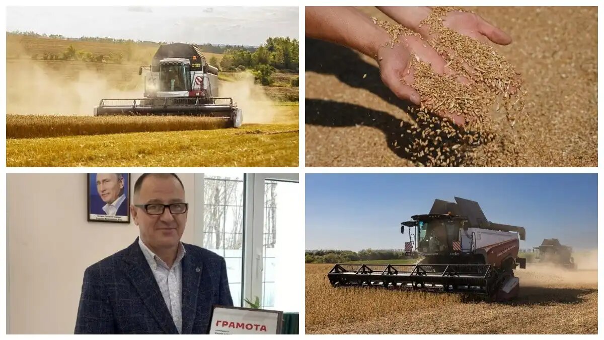 Фото: rostselmash.com / РостсельмашДни урожая с техникой Ростсельмаш прошли в Самарской области