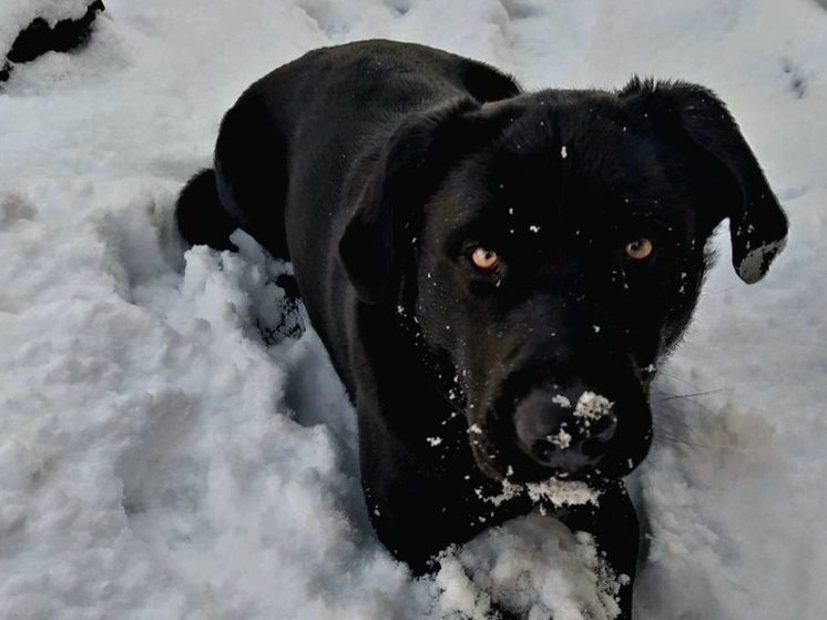     Фото: МК в Крыму